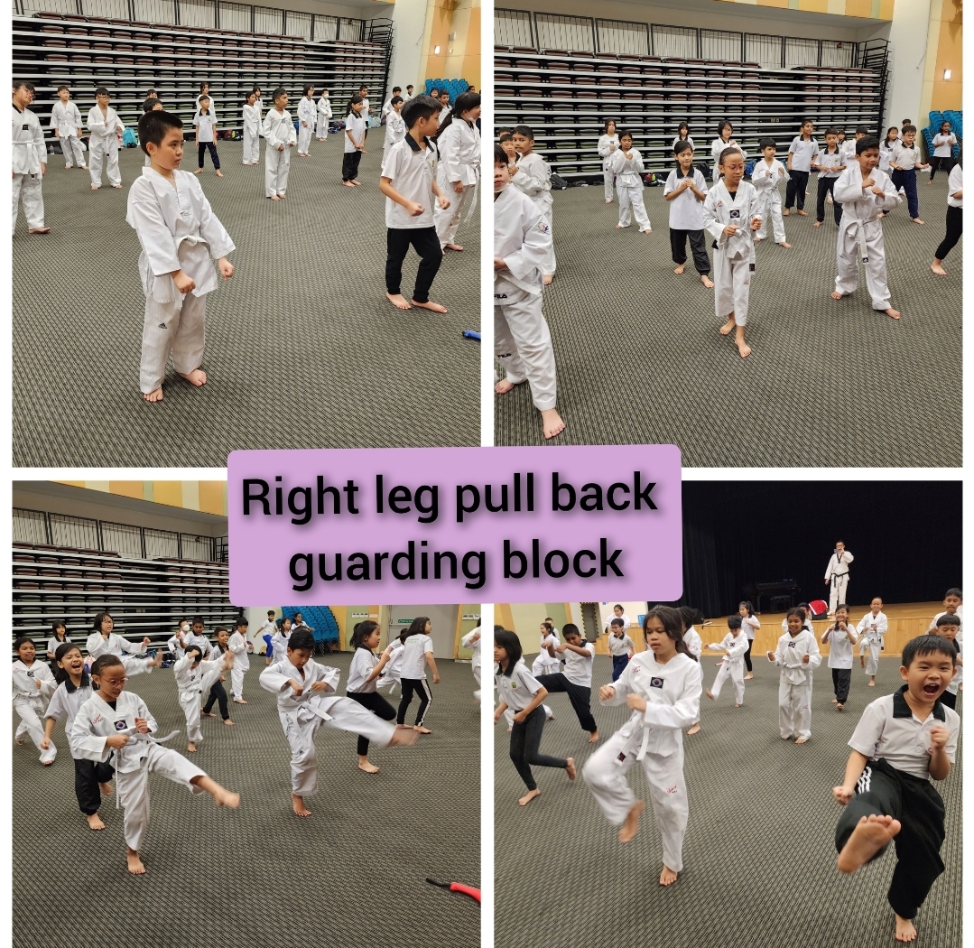 Taekwondo